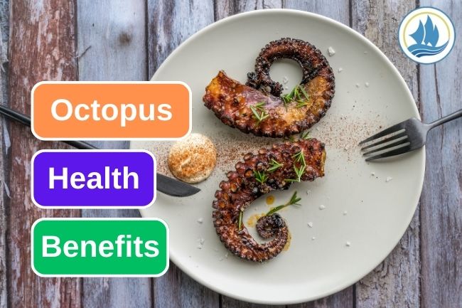 You Can Get This 5 Health Benefits From Eating Octopus